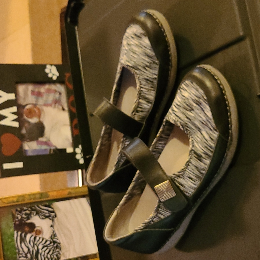 Alegria shoe